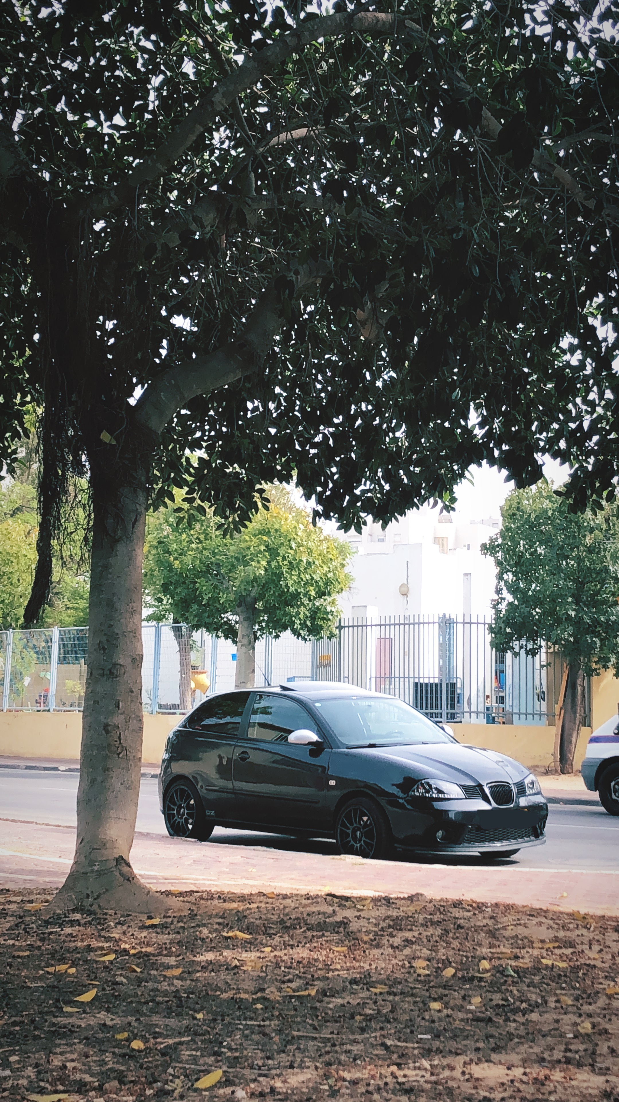 [https://profile.fcdn.co.il/images/0__05ace6e5c2a0d1.jpg]